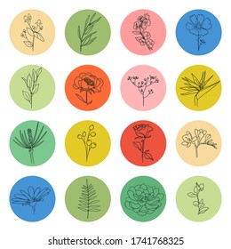 Highlight covers vector collection. Circle shape with flower plant element inside, social media stories icon set. Various shapes, lines style, doodle stickers, graphic logo. Hand drawn templates. 