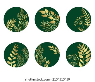 Highlight story cover icons for social media, covers, stickers. Set of round covers with golden leaves on a dark green background. Vector illustration.