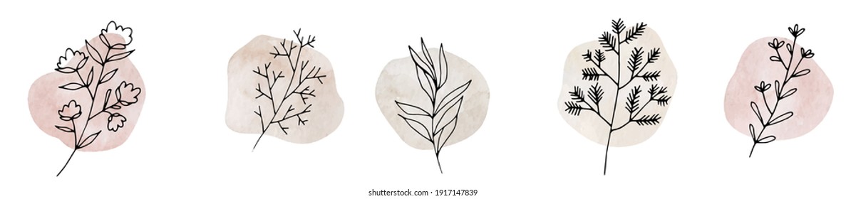 Highlight Story Natural Hand Drawn Floral Logo Logo, Template for photographer, fashion blogger, yoga studio  Monoline style Herb, Botanical Floral Illustrations