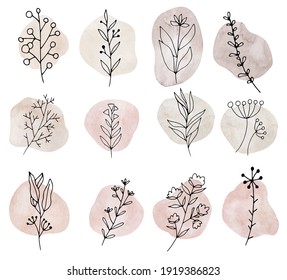 Highlight Story Natural Hand Drawn Floral Logo