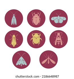 Highlights Cover Icons. Geometric insect flat vector illustrations set. lacewings, cockchafer, butterfly, moth, firefly, scarab, wasp, mosquito. Stories pictures with several insects