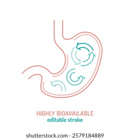 Highly bioavailable supplement icon. Minimalist line art. Stomach digestion, nutrient absorption, optimized metabolism. Medical, health, wellness, clinical sign. Editable stroke, vector illustration