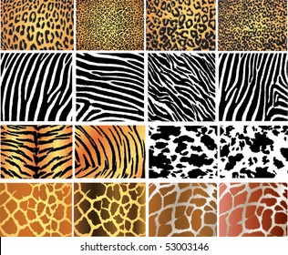 Highly detailed animal skin vector pack - 16 different pattern