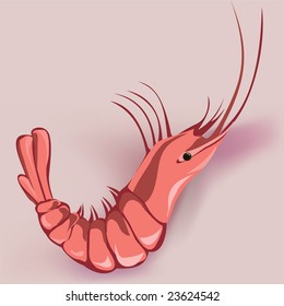 Highly detailed boiled shrimp. Scalable vector graphics.