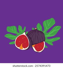 Highly Detailed Fig Design Depicting Fresh Purple Skinned Fruit with Sweet Pink Flesh and Seeds Mediterranean and Middle Eastern Exotic Flavors