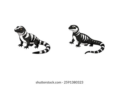 A highly detailed, full-body realistic vector illustration of an Argentine Black and White Tegu on a white background, perfect for digital use, prints, and merchandise