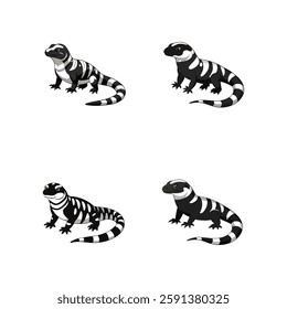A highly detailed, full-body realistic vector illustration of an Argentine Black and White Tegu on a white background, perfect for digital use, prints, and merchandise