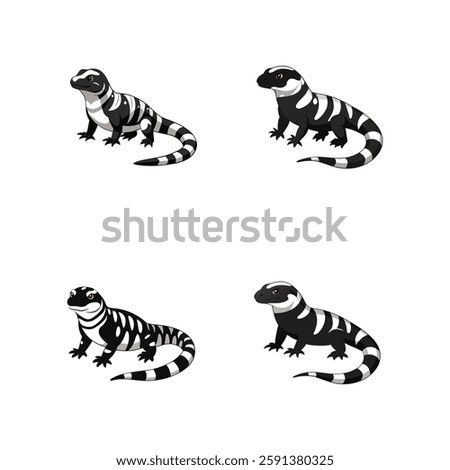 A highly detailed, full-body realistic vector illustration of an Argentine Black and White Tegu on a white background, perfect for digital use, prints, and merchandise