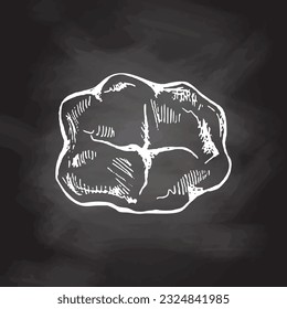 Highly detailed hand drawn human tooth  with roots. Hand drawn sketch. Molar top view illustration isolated on chalkboard background.