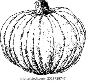 Highly detailed, hand drawn, and vectorized illustration of a Pumpkin. The illustration is fully editable and comes as single file.