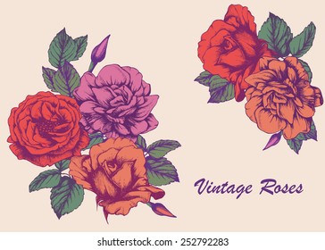 Highly detailed hand-drawn roses. Vectorial isolated elements.