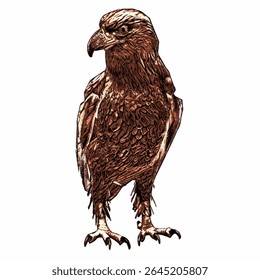 Highly detailed hand-drawn vector of a golden eagle in ink engraving style, emphasizing feathers, strength, and alert posture.