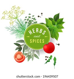 Highly detailed herbs and spices over white background