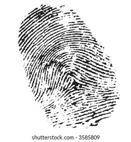 highly detailed illustration of a fingerprint