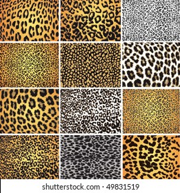 Highly detailed leopard vector pack - 12 different pattern