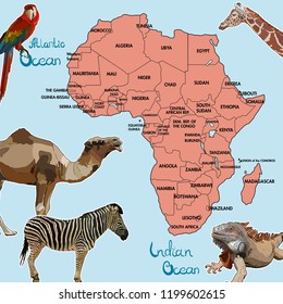 Highly detailed map of continent, located on the African continental plate with animals. Background with continent of Africa. Vector Illustration, EPS 10