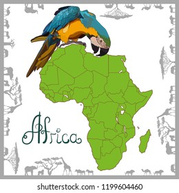 Highly detailed map of continent, located on the African continental plate with parrot. Background with continent of Africa. Vector Illustration, EPS 10