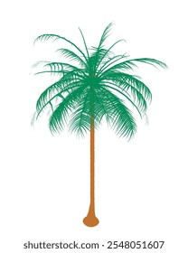 Highly Detailed Palm Tree Silhouette isolated on white background. Vector illustration