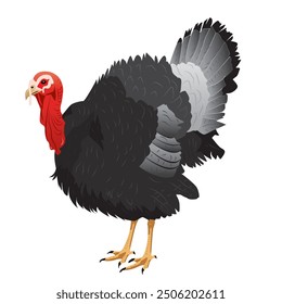 A highly detailed and realistic vector illustration of a turkey, ideal for branding, educational materials, or custom designs. Fully editable to accommodate a wide range of creative projects