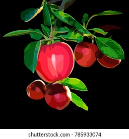 highly detailed realistic vector illustration of an apple brunch with apples and leaves on bright sky background 