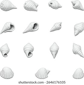 Highly Detailed Vector Illustration of Assorted White Sea Shells. summer season vector design bundle. collection of summer