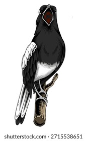 Highly detailed vector illustration of an Oriental Magpie-Robin (Copsychus saularis) perched on a wooden branch with its beak open, singing. This stylized black and white bird art features sharp lines and comic-style shading, perfect for logos, wildlife education, or nature-themed designs.