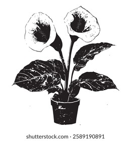 highly detailed vector illustration of a potted calla lily in vintage engraving style, ideal for botanical, floral, and home decor-themed designs