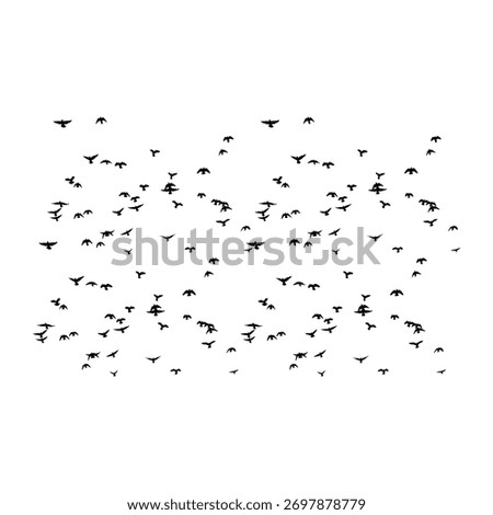 A highly detailed vector silhouette of a large flock of small birds flying in an abstract, loose formation. This graphic is perfect as a nature overlay, background element, or a symbol of freedom, tra