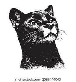 highly detailed vintage vector illustration of a black panther’s head, perfect for wildlife, nature, and retro-style animal designs