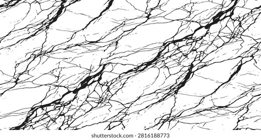 Highly intricate abstract spiderweb marble texture mapping out a dense, beautiful network of complex stone arteries and cracked quartz fractures. Superb asset for dramatic high-contrast packaging designs, premium wallpaper canvases, and artistic textile textures.