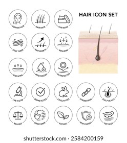 Highly realistic multiple layers skin with hair mockup and set icons . Vector illustration isolated on white background. The outline icons are well scalable and editable. EPS10.