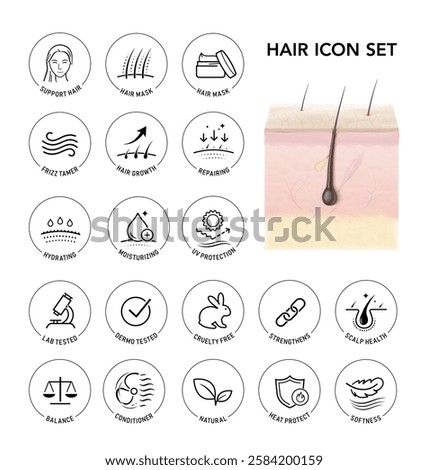 Highly realistic multiple layers skin with hair mockup and set icons . Vector illustration isolated on white background. The outline icons are well scalable and editable. EPS10.