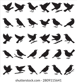 High-quality Babbler bird silhouette clip art, perfect for nature-inspired designs, crafting, and digital projects. This clean vector icon features the distinct outline of a babbler bird perched on a branch, ideal for logos, scrapbooking, and educational materials.