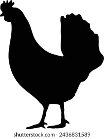 High-Quality Chicken Vector Graphics silhouette