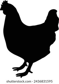 High-Quality Chicken Vector Graphics silhouette