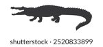 High-quality crocodile silhouette vector featuring a fierce reptile with an open jaw and sharp teeth. Ideal for logos, wildlife designs, and educational materials.
