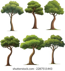 high-quality different variant tree collection vector illustration. isolated on white artboard