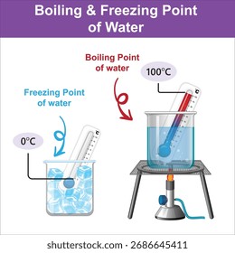 High-quality educational vector illustration showing the boiling point (100°C) and freezing point (0°C) of water on thermometers. Perfect for science lessons, STEM learning, and classroom visuals.