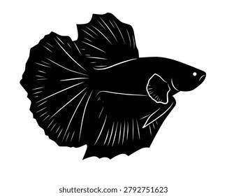 High-quality illustration of a black betta fish swimming, showcasing detailed fins and sleek body in aquatic setting.