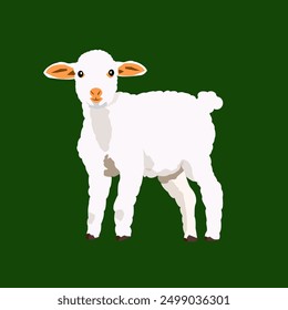 High-quality image of an adorable lamb standing. Perfect for farm enthusiasts, educational content, and anyone looking for cute animal photography.