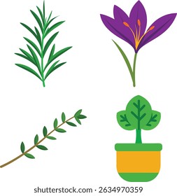 High-quality image featuring a group of fresh herbs and spices including thyme, saffron threads, rosemary sprigs, and wasabi paste. Ideal for culinary, health, organic, and food-related concepts. 
