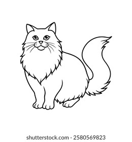 A high-quality image of a Himalayan cat isolated on a white background, perfect for commercial use, graphic design, marketing, and editorial projects. Ideal for websites, advertisements, and creative 