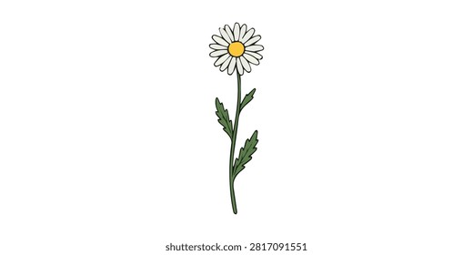High-quality image of a single white daisy flower with yellow core and green stem isolated on a neutral background