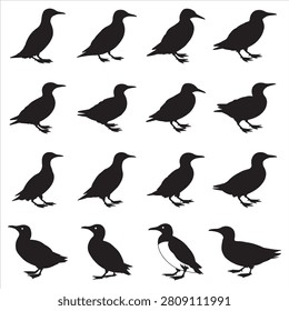High-quality Murre bird silhouette clip art featuring the distinct, elegant profile of this classic seabird. Ideal for wildlife crafting, educational materials, and coastal design projects, this scalable graphic is perfect for digital or print use.