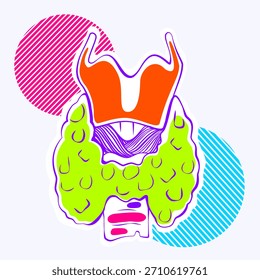 Ilustración vectorial lineal de color neón de alta calidad de la glándula tiroides humana, que muestra estructuras anatómicamente precisas, incluidos los lóbulos de la tiroides, el istmo y la relación tráquea.