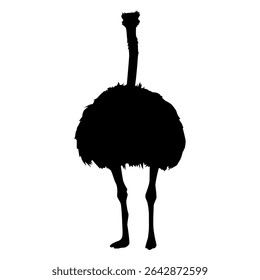 High-Quality Ostrich Struthio camelus Silhouette EPS Vector Isolated for Commercial Use and Creative Designs