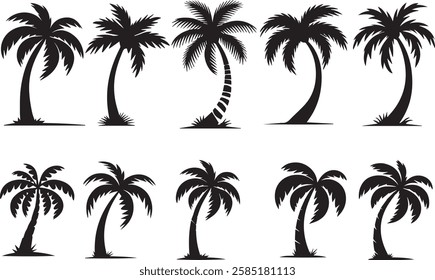 high-quality palm tree silhouette collection featuring tropical, vintage, and curved palm tree designs. Perfect for summer, coastal, and beach-themed projects, t-shirts, and travel artwork.