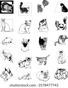 High-quality, scalable cat vector images