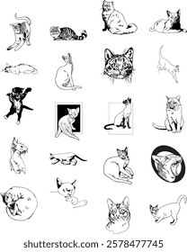 High-quality, scalable cat vector images