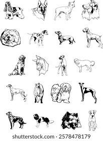 High-quality, scalable dog vector images